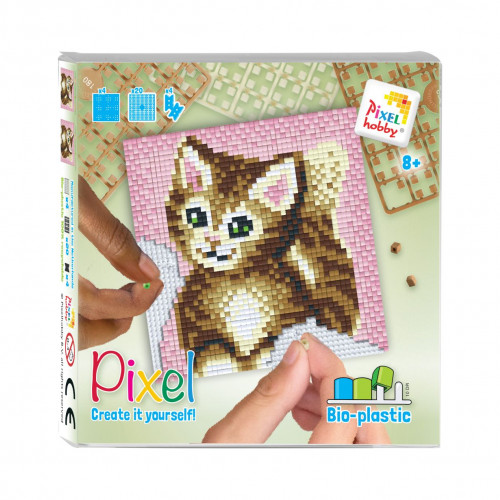 Kitty
